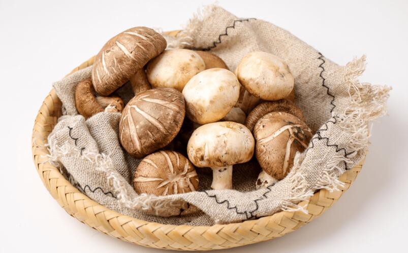 shiitake mushroom powder shiitake mushroom powder