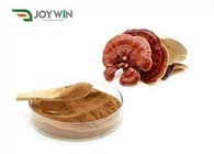 Ganoderma Lucidum Özü Tozu