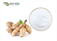Kudüs Enginar Özü %90 İnülin Tozu