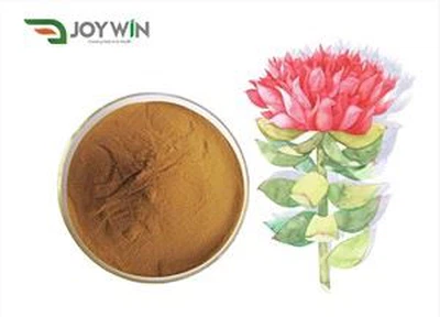 Rhodiola Rosea Kök Özü Tozu