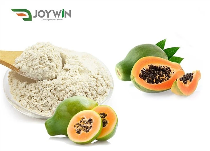 Papaya Enzyme Powder